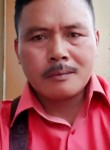 Herman Kotapalem, 54 года, Kota Palembang