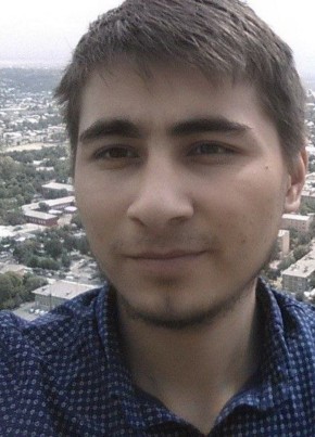 Artem, 33, Russia, Novosibirsk