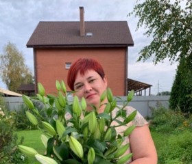 Дарья, 42 года, Ярославль