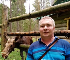 Алексей, 44 года, Волхов
