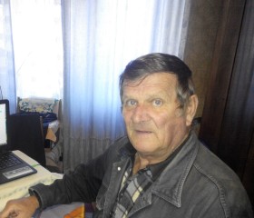 владимир, 71 год, Жовті Води