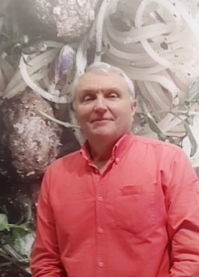 Владимир, 72, Россия, Калуга