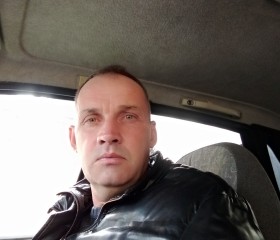 Роман, 47 лет, Курск