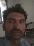 M shahzad, 40 лет, لاہور