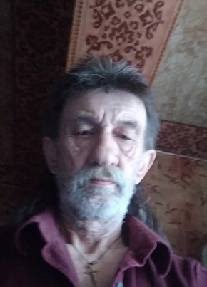 Анатолий , 73, Україна, Камянське