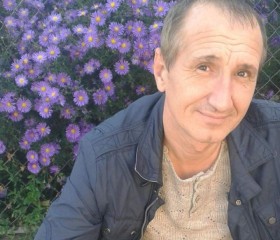 Вадим, 53 года, Балашиха