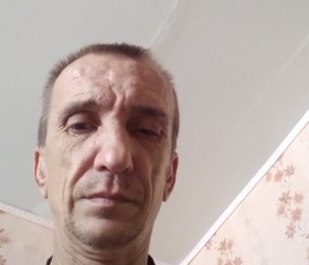 Александр, 48 лет, Волжск