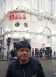 steve, 65  , London