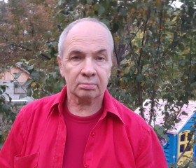 Валерий, 66 лет, Первоуральск