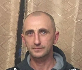 Николай, 42 года, Куйбышев