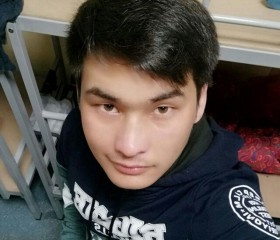 Alisher, 29 лет, Toshkent
