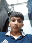 Raja varpal, 19 лет, Amritsar