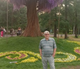 Boris, 70, Omsk