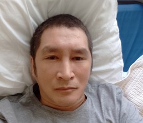 Степаниван, 36 лет, Новосибирский Академгородок