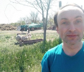 Анатолий, 42 года, Евпатория