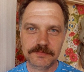 Владимир, 52 года, Серебряные Пруды