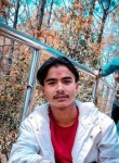 Lado king, 18 лет, Shimla