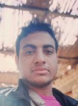 حامد, 28 лет, الإسكندرية
