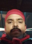 Mukesh Kumar Jha, 26 лет, Ludhiana