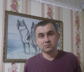 Вадим Петров, 39 лет, Нижнекамск