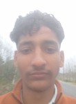 Harshrana, 18 лет, Shimla