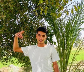 عمرو, 22, Cairo