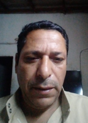 احمد علي, 46, المملكة العربية السعودية, المدينة المنورة