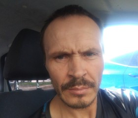 Александр Кипаев, 42 года, Волгоград