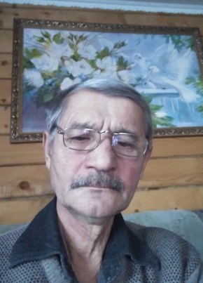 Камиль Шаяхметов, 65, Россия, Альшеево