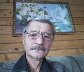 Камиль Шаяхметов, 65 лет, Альшеево