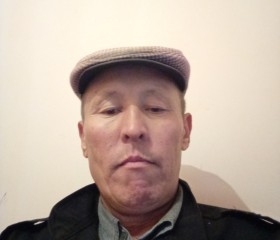 Жаныбек, 53 года, Бишкек