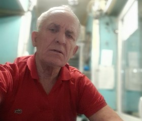 Петр, 70 лет, Санкт-Петербург