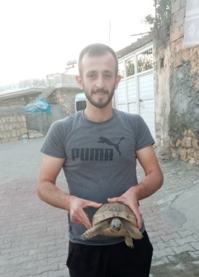 Talip , 26, Türkiye Cumhuriyeti, Acırlı