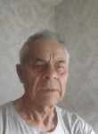 Владимир, 78 лет, Великовечное