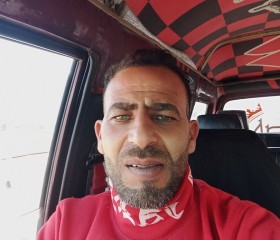 حماصه, 41, Alexandria