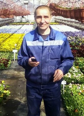 Николай, 48, Россия, Ивангород