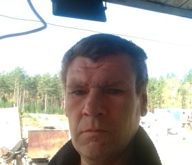 Андрей Бударин, 47 лет, Нижний Ингаш