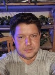Сергей Воронцов, 36 лет, Тольятти