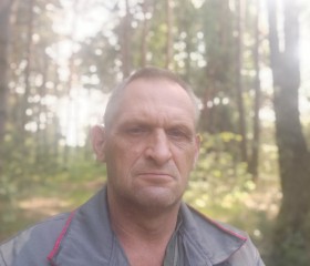 Михаил Шиманский, 56 лет, Лунінец