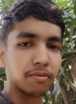 Sonu kumar, 18 лет, Jhā Jhā