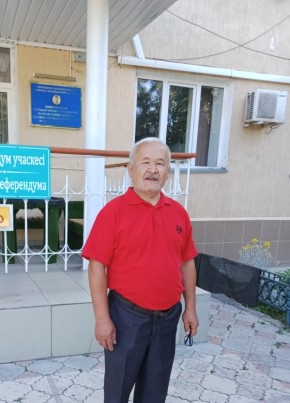 Алик, 61, Қазақстан, Тараз