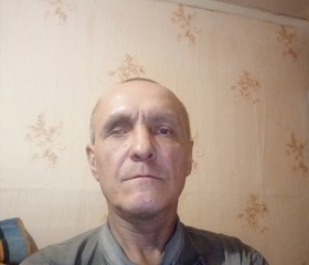 Владимир, 48 лет, Васильевский Мох
