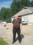 Андрей, 43 года, Гатчина