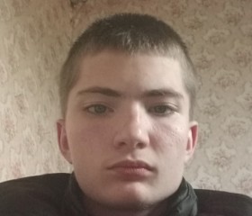 Станислав, 19 лет, Клинцы
