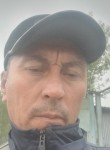 Дамир, 52 года, Обнинск