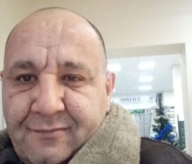 Эрик, 52 года, Железнодорожный (Московская обл.)