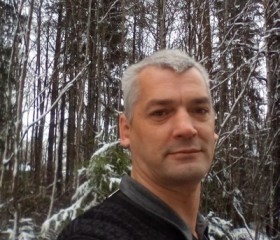 Борис, 52 года, Санкт-Петербург