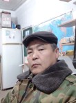 Эмилбек Зарылов, 55 лет, Бишкек
