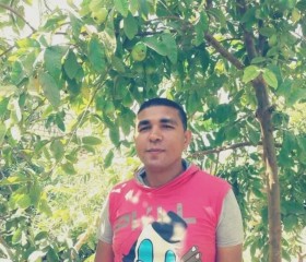 على, 36, Al Mansurah