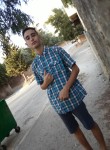 Amine, 21 год, Boufarik